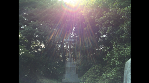 e0278631_14351446.png