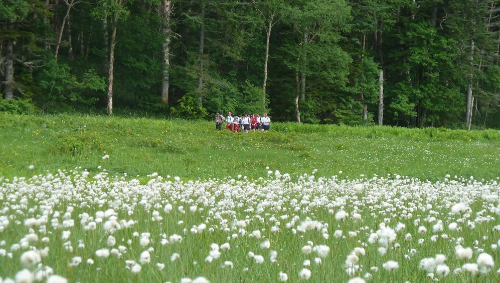 d0288144_00285579.jpg