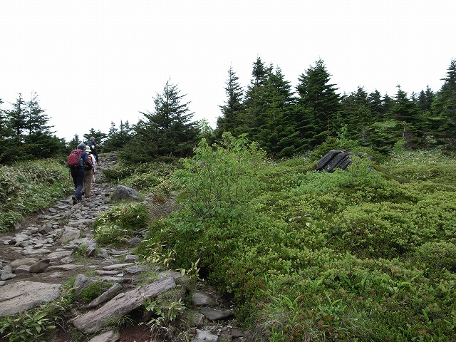 トレッキング2014　その10／四阿山・根子岳_e0031346_10504399.jpg