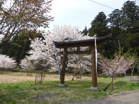 b0238249_21160090.jpg
