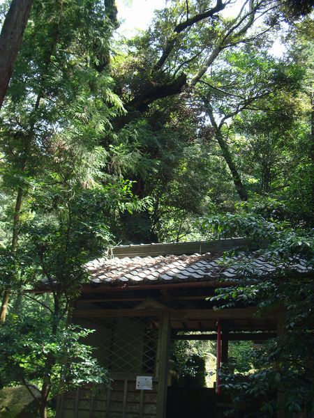 石上神宮～石上神社～天理教本部_e0083155_12434214.jpg