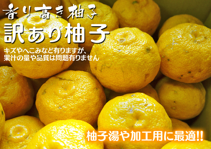 香り高き柚子（ゆず）　柚子の果実の成長_a0254656_18275890.jpg