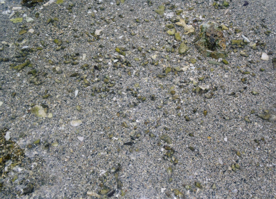 c0180460_0185287.jpg