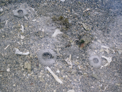 c0180460_0191978.jpg