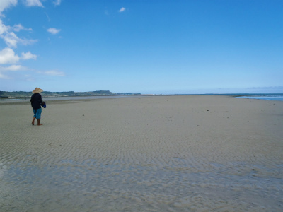 c0180460_019514.jpg
