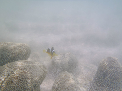 c0180460_0223347.jpg