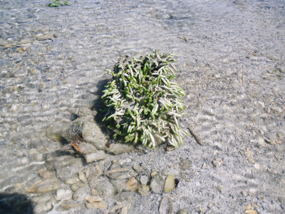 c0180460_0241453.jpg