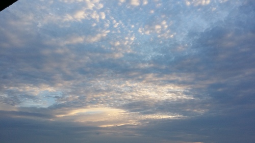 臨海学校の始まり~♪_a0200771_2232632.jpg