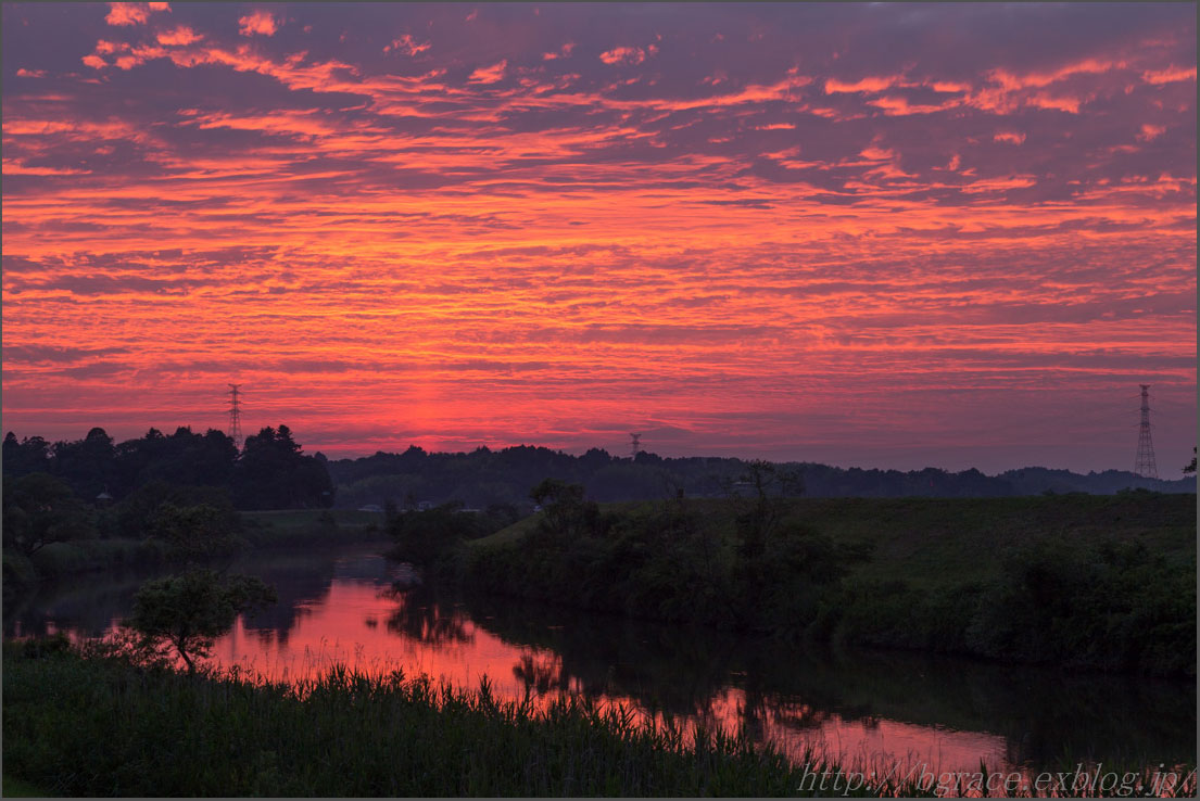 夏の夕暮れ_b0191074_14474447.jpg