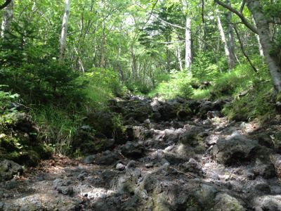 d0262778_923494.jpg