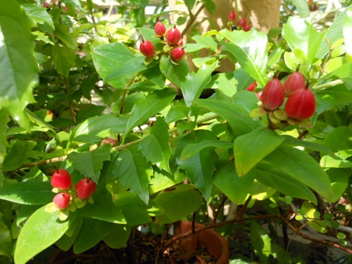 b0096584_17411959.jpg