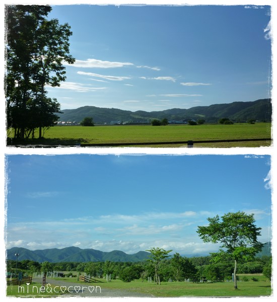 北海道パート8_a0053987_9522898.jpg