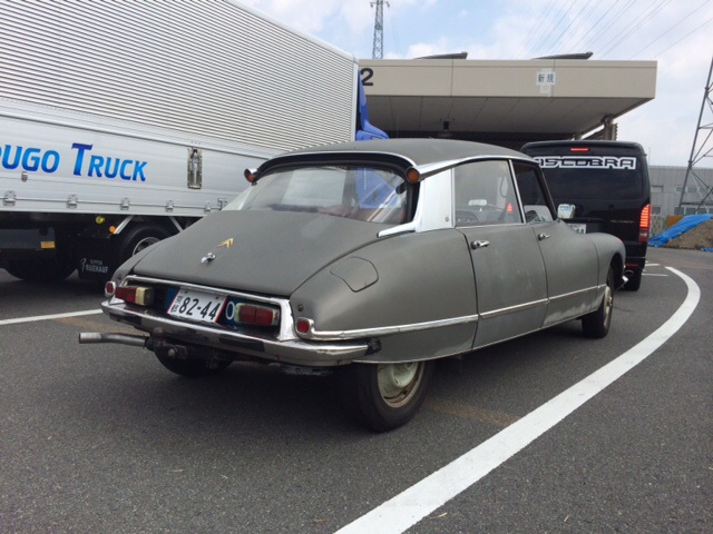 DS19国内新規_c0105691_21133025.jpg