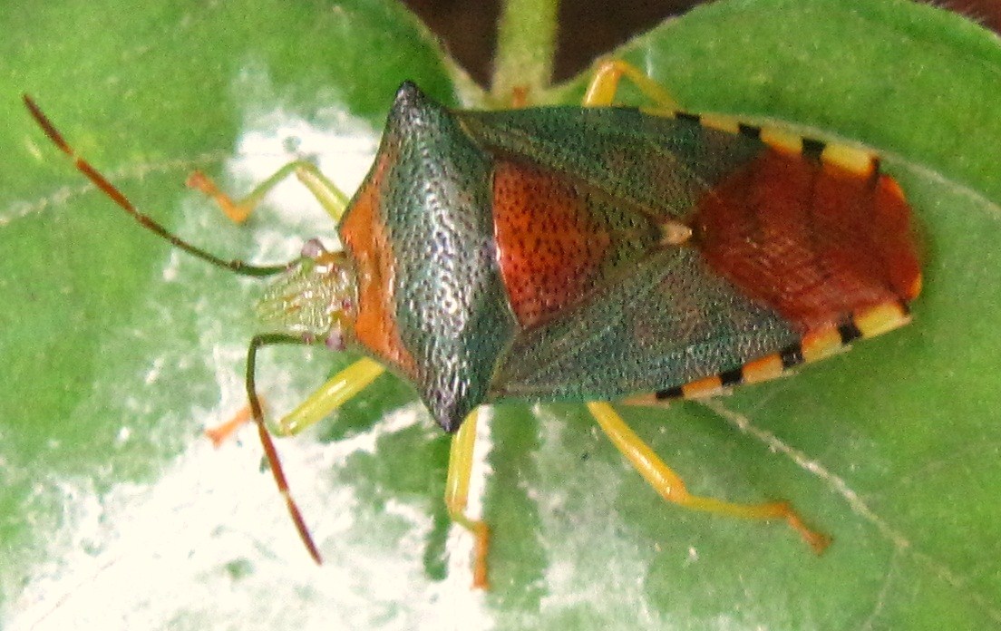 b0028598_1852387.jpg