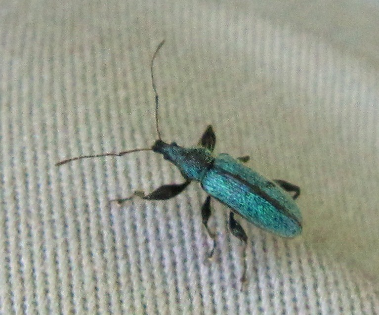 b0028598_18534514.jpg