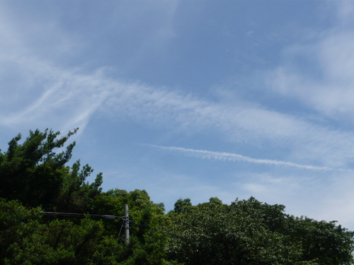a0238019_2005951.jpg