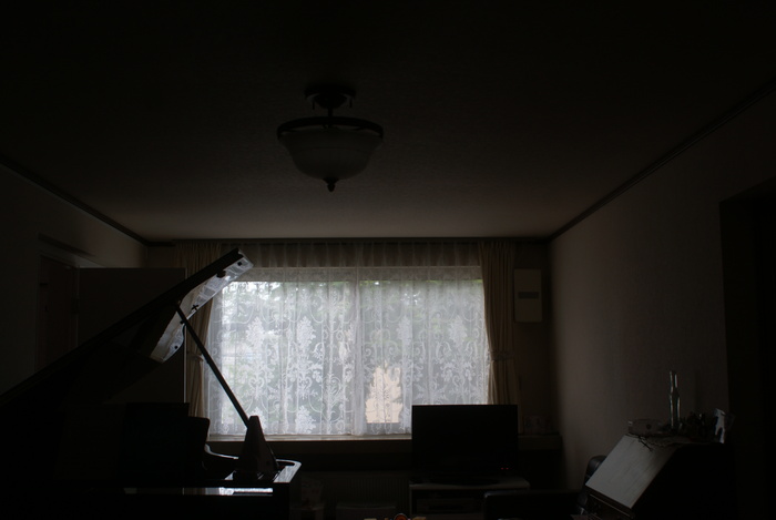 f0170524_1551156.jpg