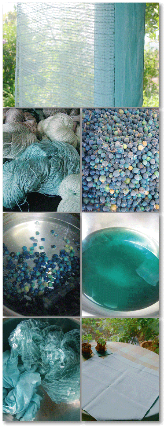 草木染め1 臭木編 : 田中みぎわ旧ブログ（2006-2018）