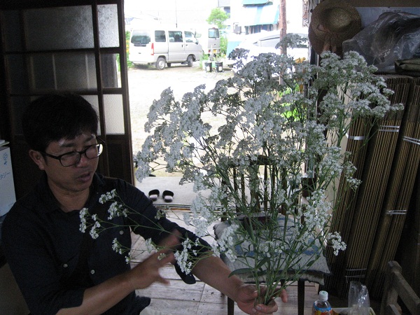 愛知県のカスミソウ生産者を案内しました かねやま普及所活動日誌