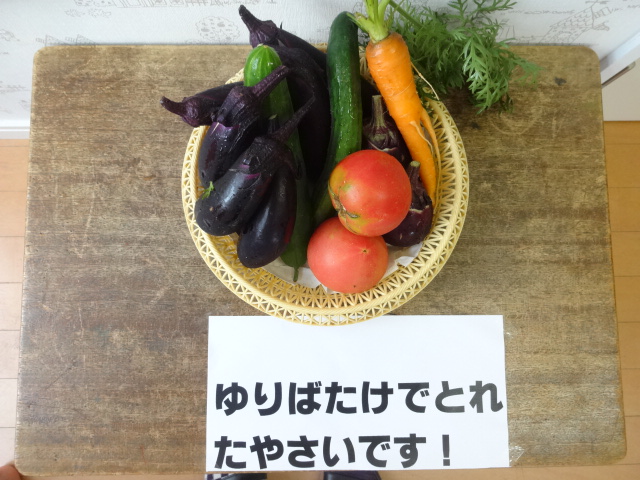 ゆり組 保育参観_d0166047_11491753.jpg