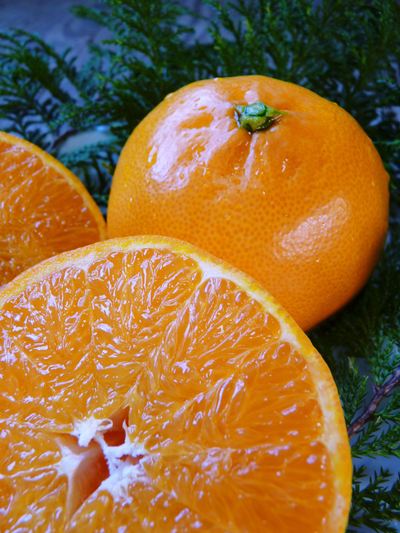 究極の柑橘「せとか」 摘果のポイントと夏草の草刈りと肥料の話 その1_a0254656_1755729.jpg