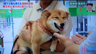 笑う犬 浜本隆司ブログ オーロラ ドライブ 笑う犬 浜本隆司ブログ オーロラ ドライブ