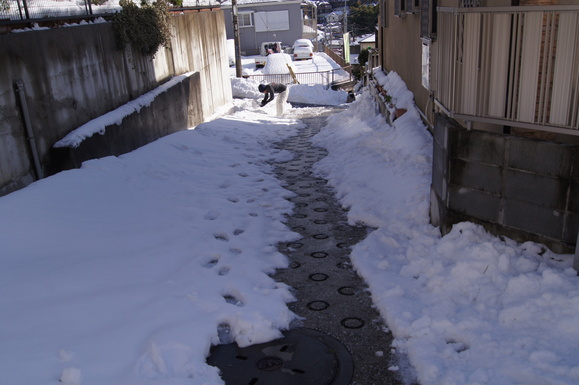 45年ぶり!?の積雪_a0129661_15113793.jpg