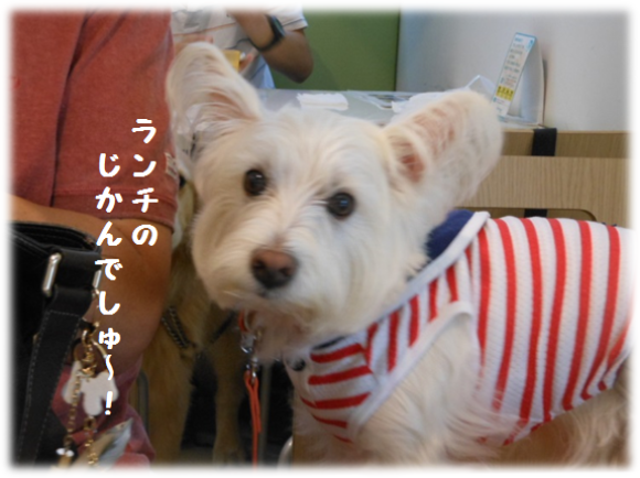 b0242873_14360280.png