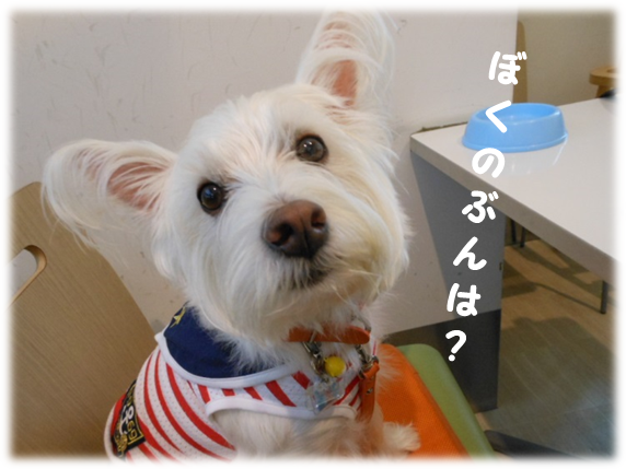 b0242873_14410007.png