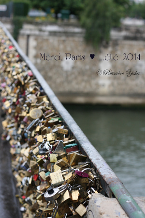 paris より帰国しました_c0138180_8492732.jpg