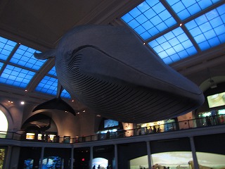 b0209691_1551386.jpg