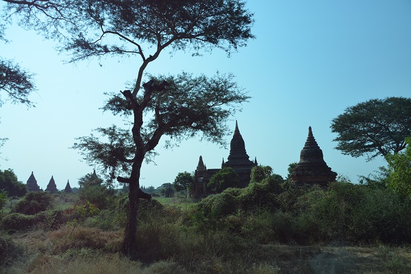 f0268294_20251364.jpg
