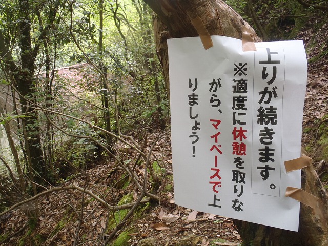 六甲山ハイキング&食い倒れ(^_^)/~_c0147398_1331051.jpg