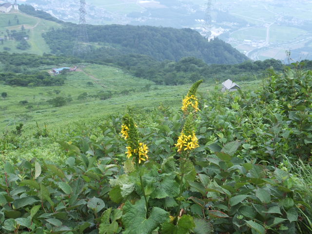 a0271502_17382047.jpg