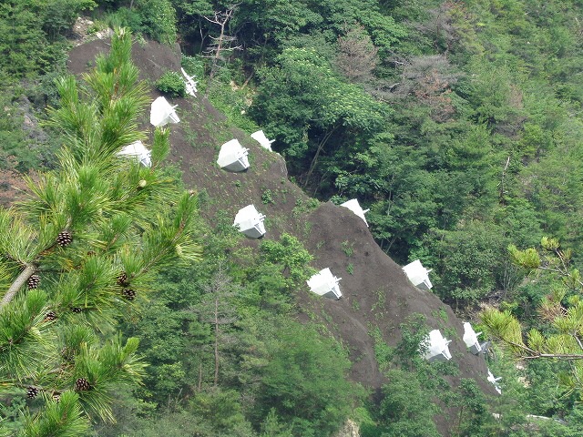 六甲山ハイキング(7/16)横池〜高座ノ滝_b0326303_09122197.jpg