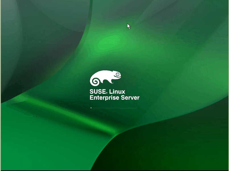 動画付:SUSE Linux のインストール SLES on XEN_a0056607_142910100.jpg