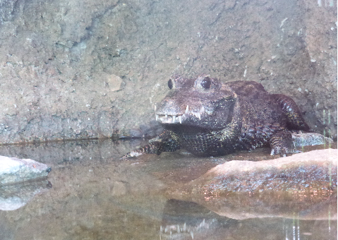 b0182708_0481770.png