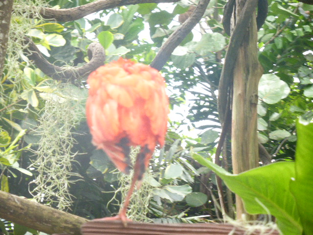 b0182708_8473274.jpg
