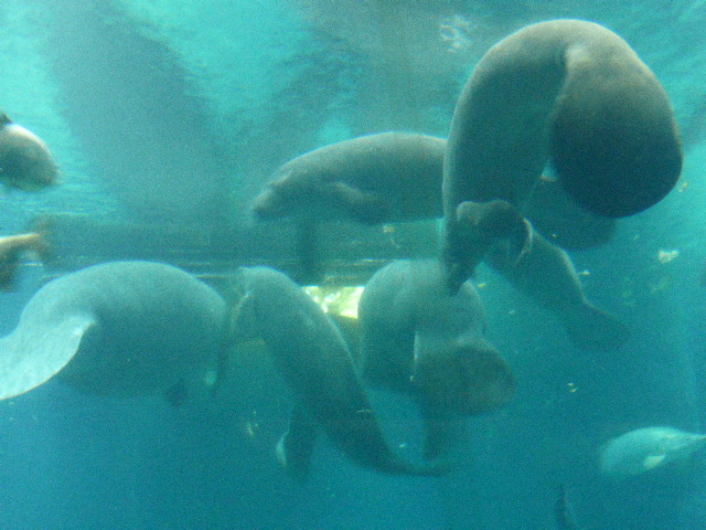 b0182708_8511874.jpg