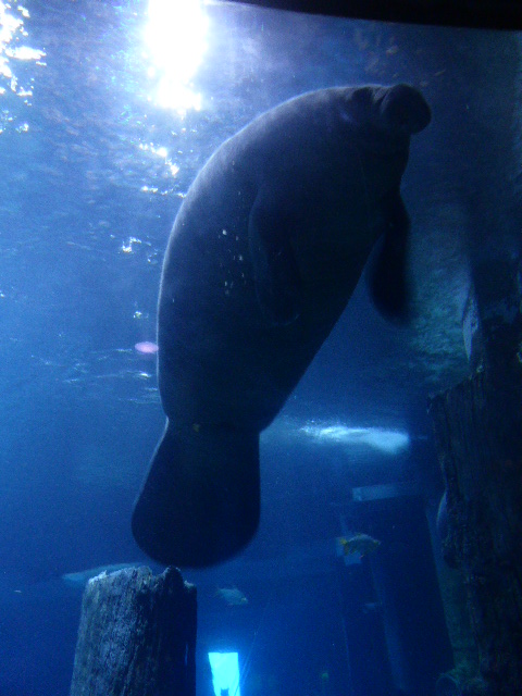 b0182708_8535912.jpg