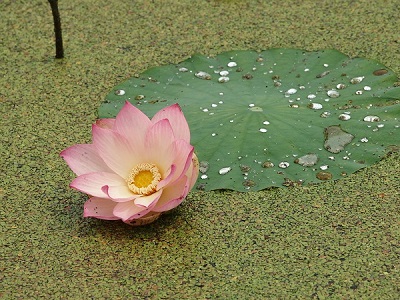 f0231309_9584659.jpg