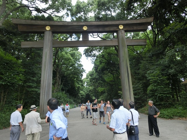 うっそうとした明治神宮の杜は100年前に計画的に設計・植栽された人工林_f0141310_8314916.jpg