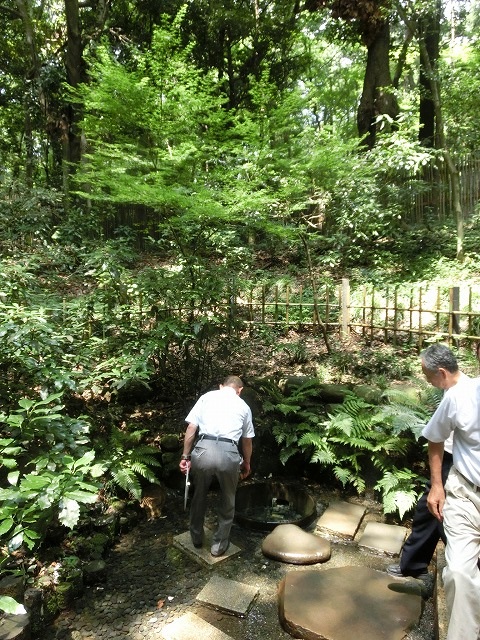 うっそうとした明治神宮の杜は100年前に計画的に設計・植栽された人工林_f0141310_834512.jpg