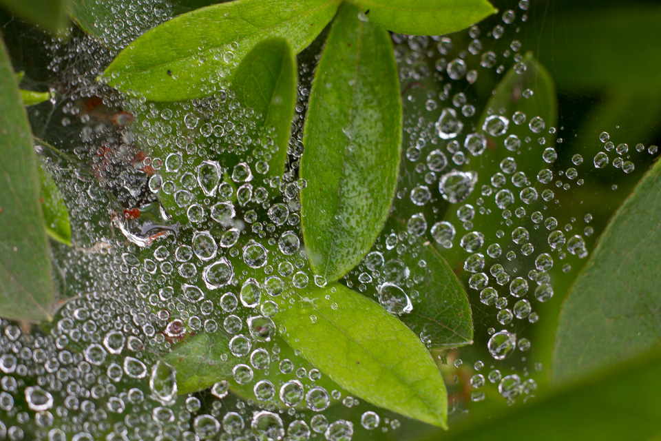 b0010915_2173770.jpg
