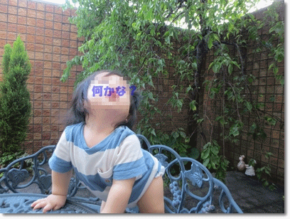 b0167519_042879.gif