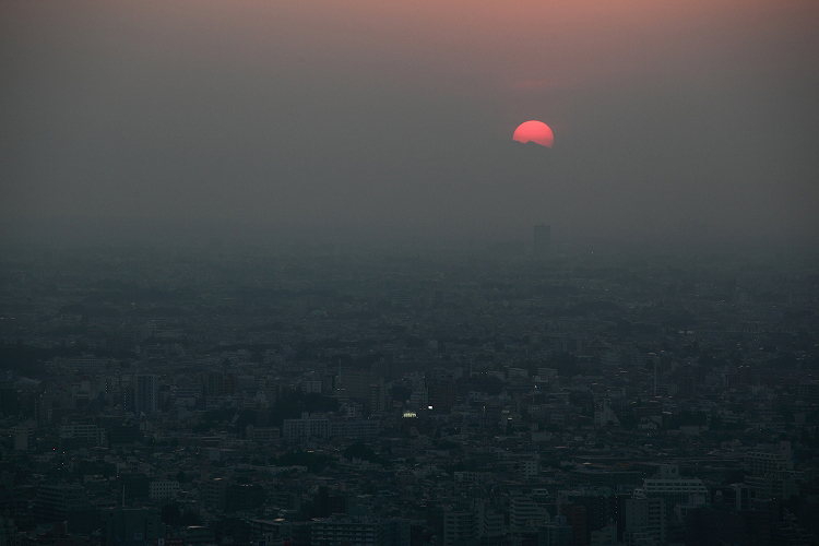 東京夕景　～都庁より～_e0303527_0354828.jpg