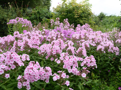 c0107129_0485525.jpg