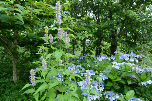 c0107129_0513443.jpg