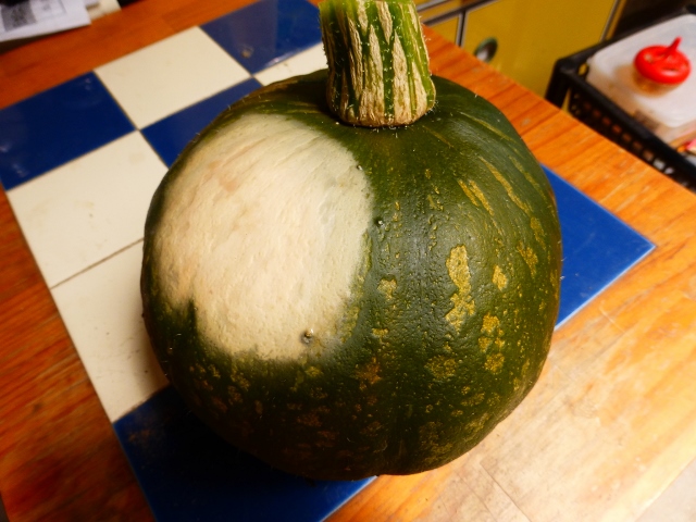 b0138430_12355592.jpg