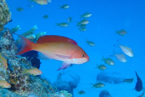 7月18日遠征水納島!!!_c0070933_21245683.jpg